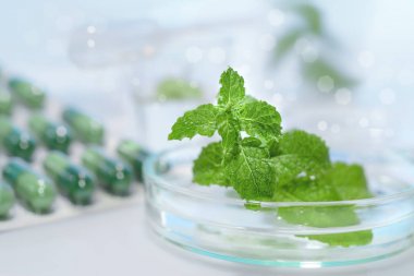 植物elisa試劑盒實(shí)驗(yàn)原理與產(chǎn)品說明簡(jiǎn)介 植物elisa試劑盒實(shí)驗(yàn)原理與產(chǎn)品說明簡(jiǎn)介