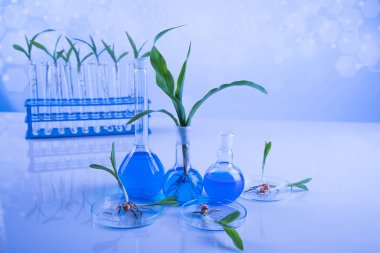 液相色譜串聯質譜-植物激素檢測代測服務說明圖1