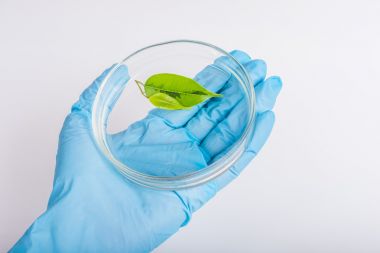 液相色譜串聯質譜-植物激素檢測代測服務說明圖2