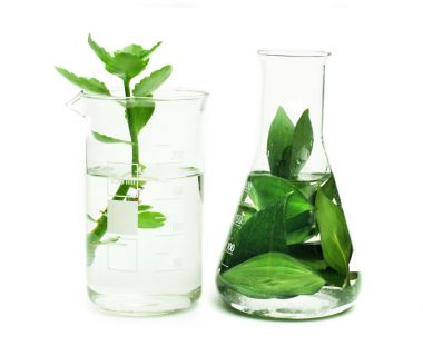 原鑫植物激素類檢測(cè)在氣相色譜中的應(yīng)用圖