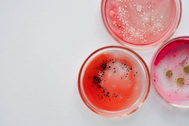 血鈣濃度檢測(cè)試劑盒圖1 血鈣濃度檢測(cè)試劑盒圖1
