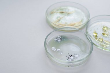 細菌總蛋白提取試劑盒圖1