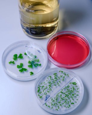 土壤木質素過氧化物酶活性檢測試劑盒圖 土壤木質素過氧化物酶活性檢測試劑盒圖