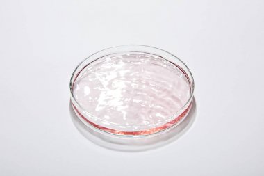 大鼠5羥色胺2B(5-HT2B)elisa試劑盒 大鼠5羥色胺2B(5-HT2B)elisa試劑盒