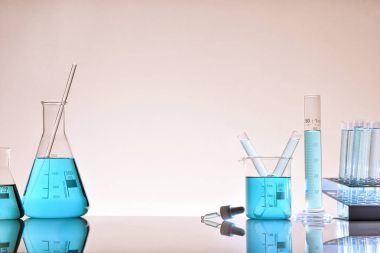 植物異黃酮合酶(IFS)ELISA試劑盒 植物異黃酮合酶(IFS)ELISA試劑盒