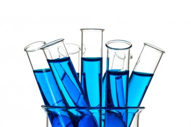 氧化三甲胺檢測(cè)報(bào)告(血清) 氧化三甲胺檢測(cè)報(bào)告(血清)