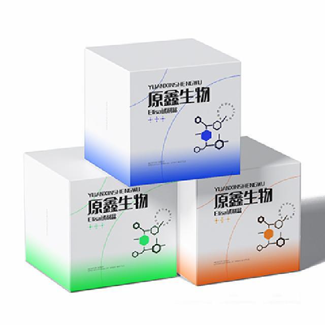 非蛋白質巰基試劑盒