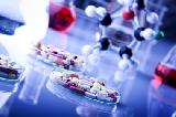 基因治療需要可靠的傳遞系統 遞送siRNA的納米顆粒研究報告